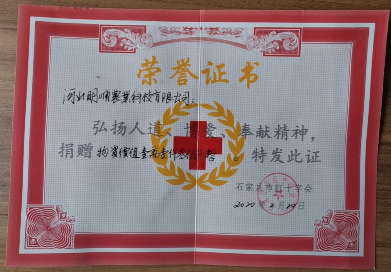 红十字会证书