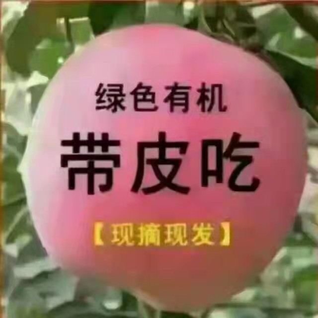 山西运城万荣红富士苹果