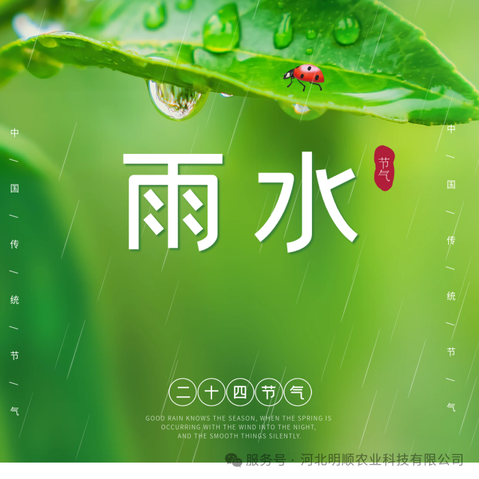“雨水”过后春耕忙
