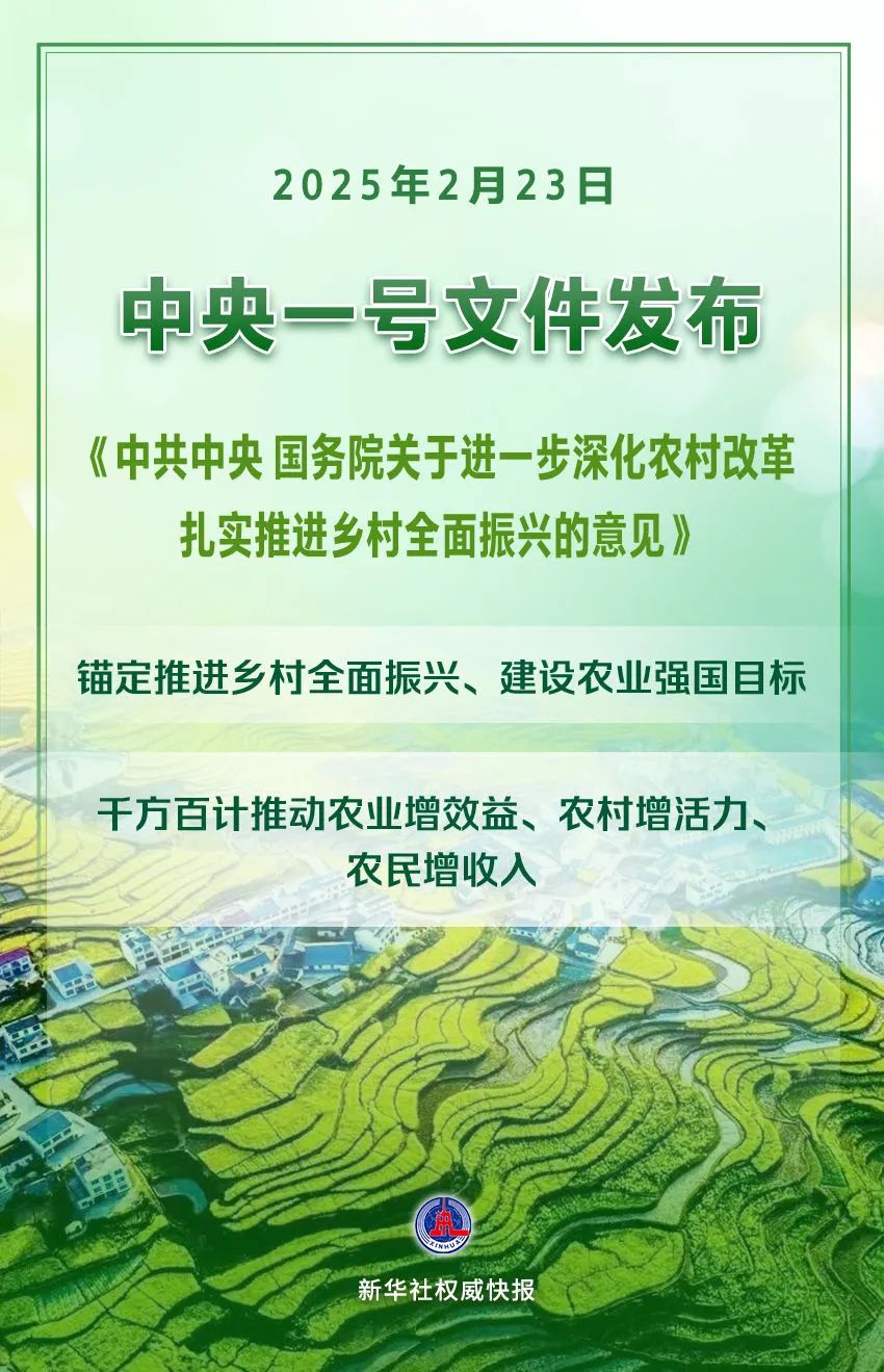 2025年中央一号文件发布—中共中央 国务院关于进一步深化农村改革　扎实推进乡村全面振兴的意见