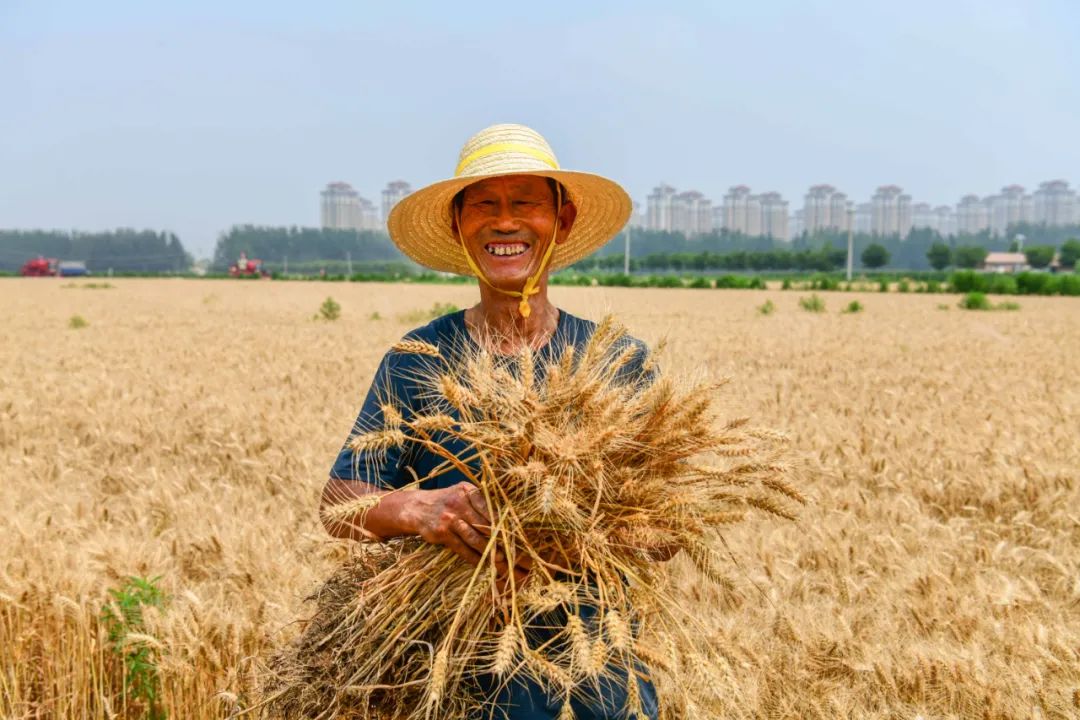科学用药 保障粮食安全