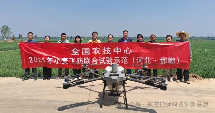 小麦“一喷三防”国家航空植保科技创新联盟飞防联合示范试验—河北邯郸站