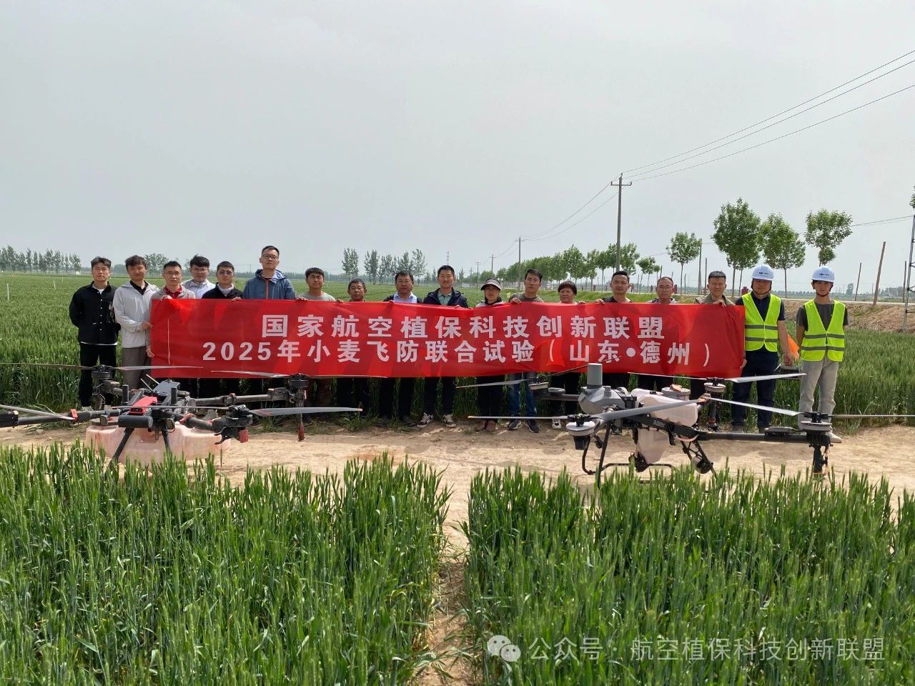 小麦“一喷三防”国家航空植保科技创新联盟飞防联合示范试验—山东德州站
